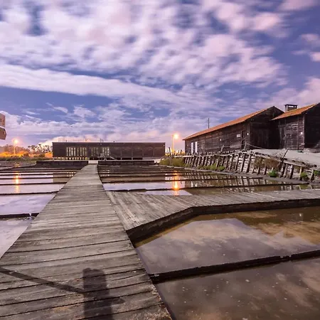 Galante Ii Figueira da Foz