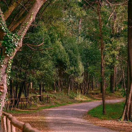 Lejlighed Galante Ii