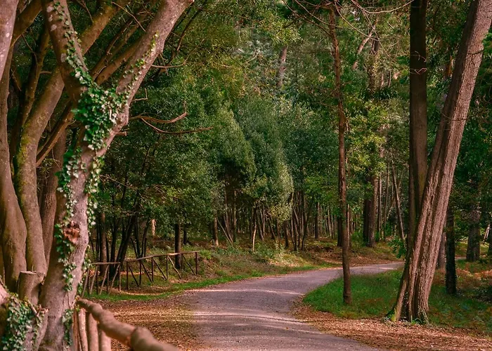 Apartamento Galante Ii